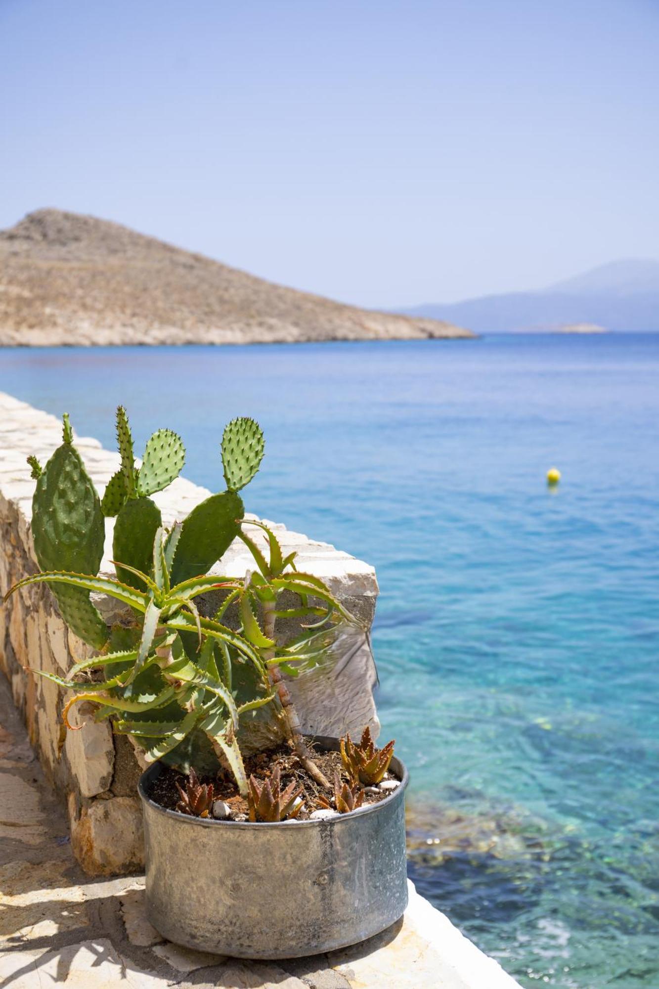 Villa Electra Chalki Town Exteriér fotografie